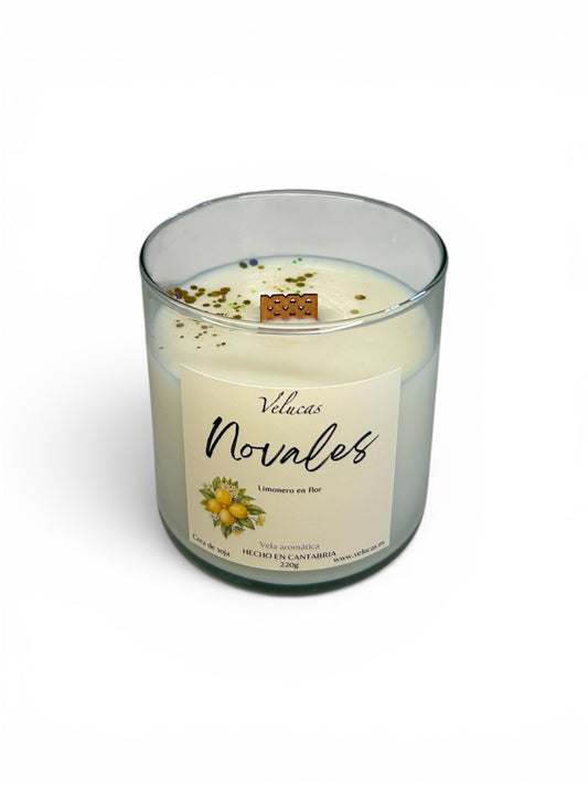 Novales